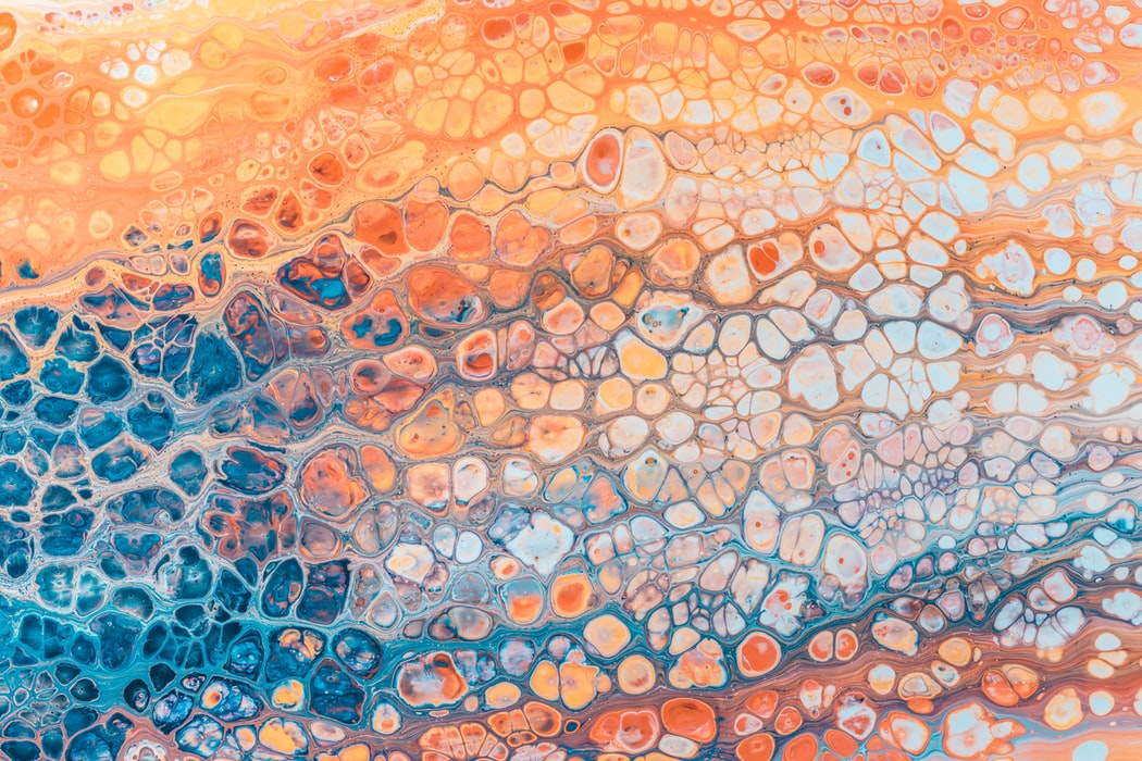 Photo by Hal Gatewood on Unsplash