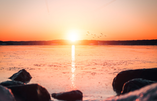 stian-vesterinen-1365872-unsplash - klein